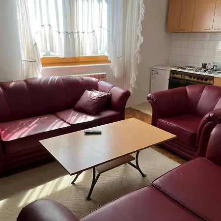 Apartment Milovanovic Kursumlija