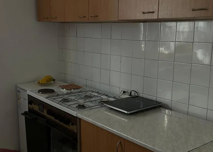 Milovanovic 아파트 *